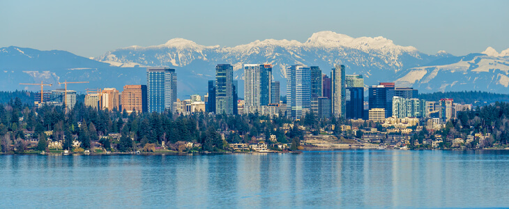 landscape picture of the city of bellevue